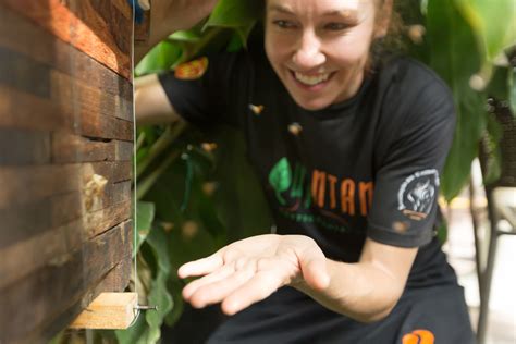 oficina quintana ensina a fazer iscas de abelhas sem ferrão