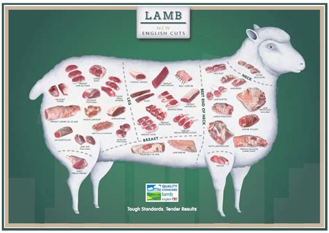 lamb cuts of meat chart below is a handy poster displaying lamb and