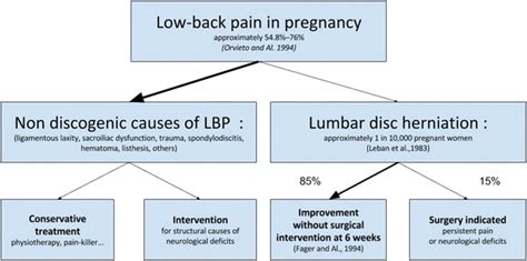 Clinical Presentation Of Low Back Pain And Ldh During Pregnancy