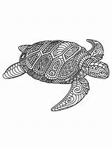 Turtle Coloring Pages Adult Turtles Mandala Printable Adults Zentangle Animal Book Coloriage Patterns Geeksvgs Tortue Color Google Crocodile Complex Beautiful sketch template