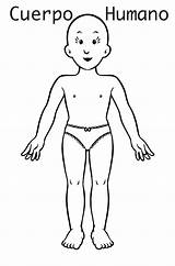 Corpo Atividades Niños Figura Ninos Partes Siluetas Figuras Diversas Suh Myify Pampekids sketch template