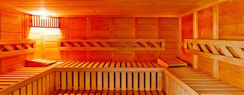 infrared sauna therapy  hot tub  swim spa company