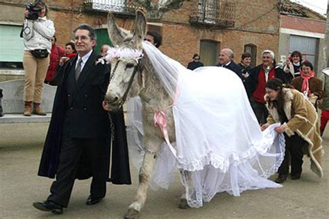 ya should have eloped 12 funny wedding pictures team jimmy joe