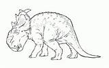 Dinosauri Gorgosaurus Spasso Patchi Dinosaurs sketch template