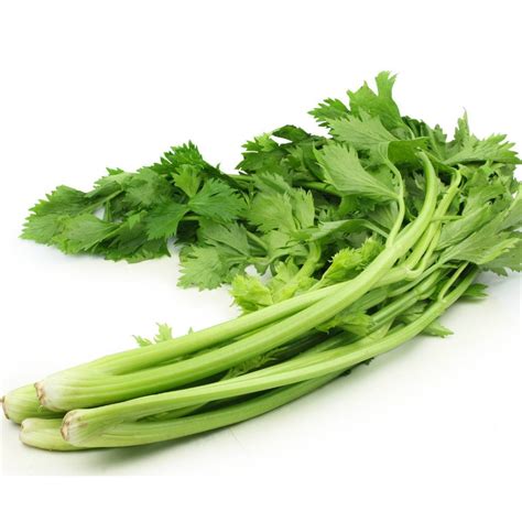 celery chinese seeds theseedcollection