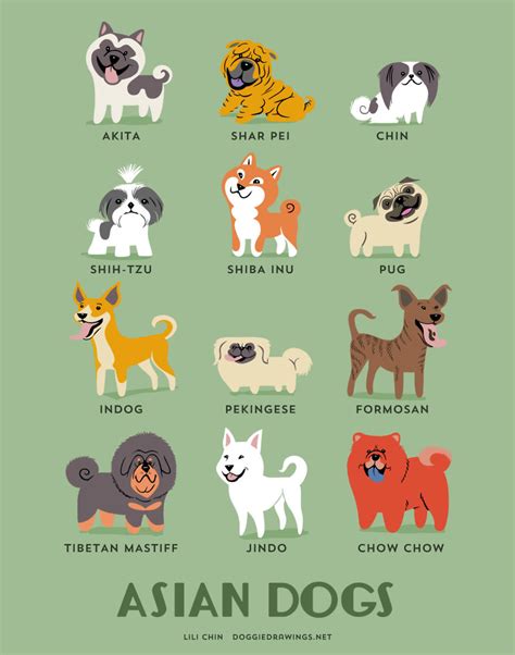 dogs   world cute posters show  origins   dog breeds