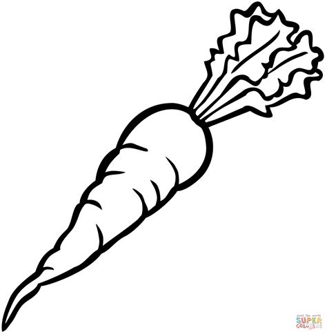 carrot coloring page  printable coloring pages