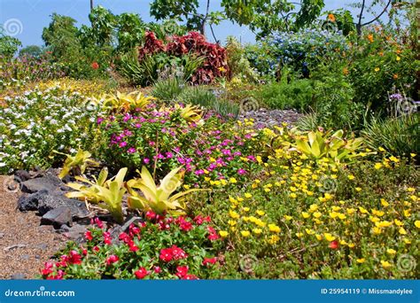 bright colorful garden royalty  stock images image