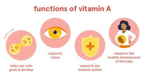 Vitamin A Foods Functions How Much Do You Need And More