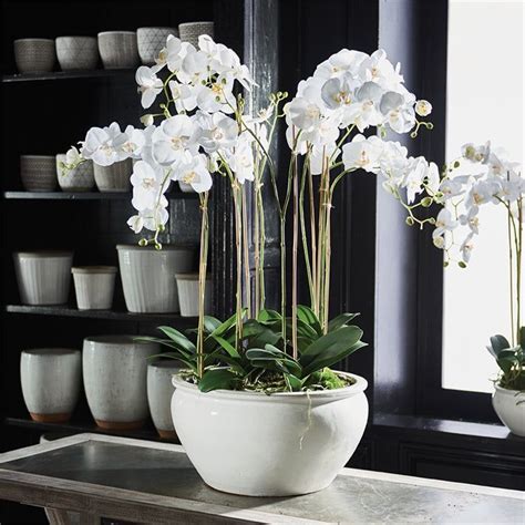 Barclay Butera Phalaenopsis In Ceramic Bowl 36 Orchid Flower