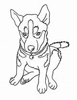 Chihuahua Dog Coloring Pages Netart sketch template