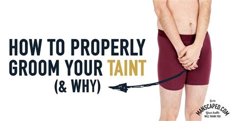 How To Properly Groom Your Taint And Why In 2020 Male Grooming Groom