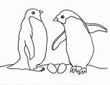 Pinguin Mewarnai Antarctica Penguins Paud Continent Twin sketch template