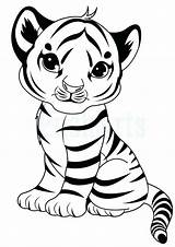 Animal Tigers Unicorn Cubs Indiaparenting sketch template