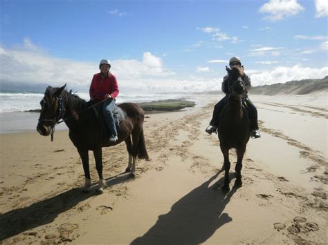 kazs      horse riding   beach