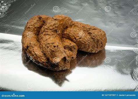 close  brown dog poop isolated stock image image  isolated nasty