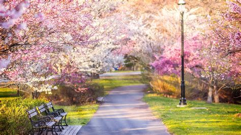 springtime   park