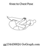 knees  chest yoga pose clip art royalty  gograph