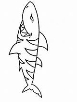 Coloring Shark Pages Tiger Kids Popular sketch template