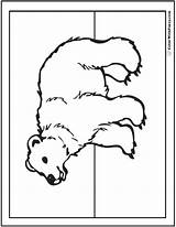 Bear Coloring Pages Outline Bears Colorwithfuzzy sketch template