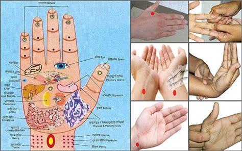 Pin By May Ferenal On Recipes To Cook Acupressure Treatment