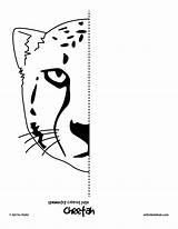 Pages Symmetry Printable Symmetrical Drawing Worksheets Coloring Kids Activities Cat Activity Animal Hub Worksheet Half Finish Mirror Line Cheetah Arts sketch template