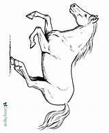 Horse Coloring Pages Horses Print Color Printable Running Sheets Palomino Stallion Realistic Sheet Clipart Raisingourkids Kids Animals Cute Acorn Di sketch template