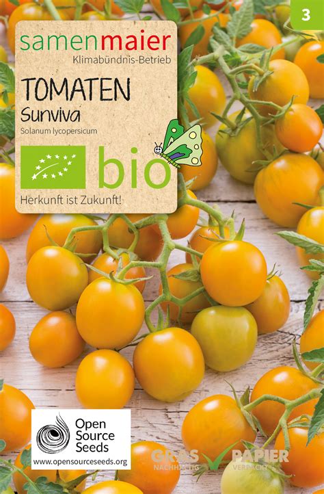 tomate sunviva bio tomatensamen von samen maier samenhaus samen