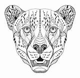 Cheetah Zentangle Gepard Mandalas Stylized Guepardo Haupt Stilisiert Ornate Freehand Elefantes Ilustración sketch template