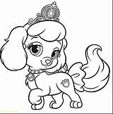 Pet Shop Coloring Pages Littlest Bunny Lps Getcolorings Color Print sketch template