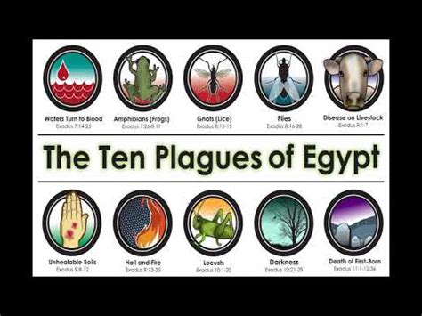 plagues  egypt song youtube