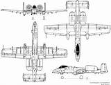 A10 Blueprints Warthog Airplane Fairchild Airplanes Thunderbolt sketch template