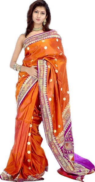 orange sari fantasy myniceprofilecom