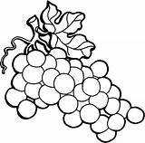 Grapes Coloring Vine Pages Wine Grape Vines Spain Drawing Color Raisins Colorluna Màu Tô Tranh Getcolorings Hình Rau Củ Getdrawings sketch template
