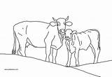 Vache Veau Colorier Vaches sketch template