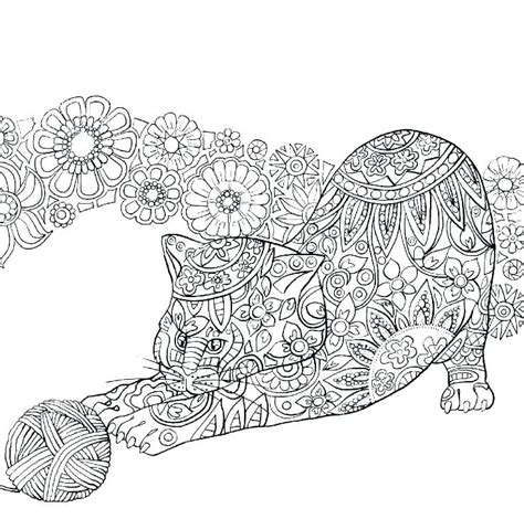 big cats coloring pages belinda berubes coloring pages