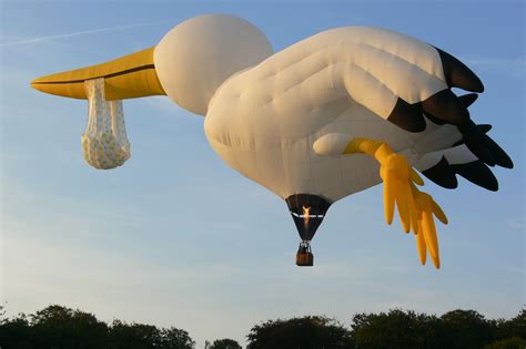 The Netherlands Hot Air Balloon Festival In Barnveld If You Travel