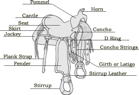 western horse saddle parts image search results