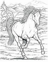 Horseman Headless Coloring Getcolorings sketch template