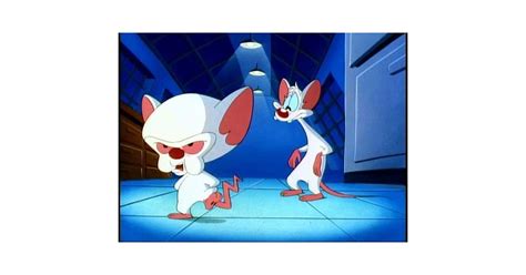 Pinky And The Brain 90s Girls Popsugar Love And Sex