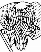 Coloring Downloads Patriotic Eagle sketch template