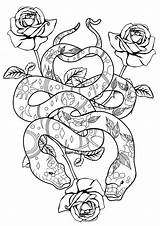 Coloring Pages Snakes Cool Roses Snake Adults Color Adult Printable Mandala Tattoo Print Detailed Book Moon Popular Choose Board sketch template