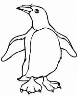 Penguins Penguin Popper sketch template