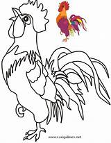 Gallos Chickens Gallo Dificiles Gallinas Roosters Hens Imagen Decorativa Coquetas sketch template