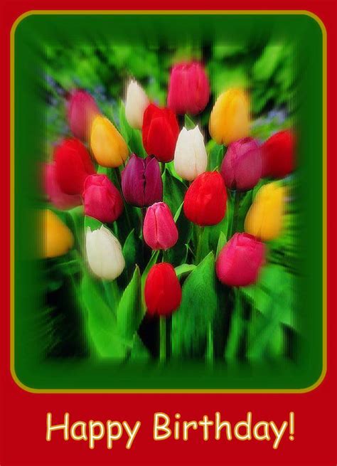 happy birthday colorful tulips