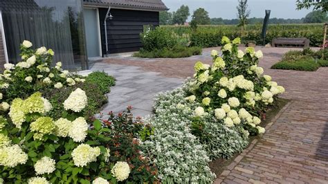moderne natuurlijke tuin landelijke tuin ontwerp met veel bloemen tuin natuurlijke tuin planten