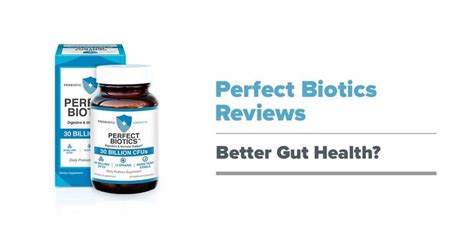 perfect biotics by probiotic america reviews health news reviews