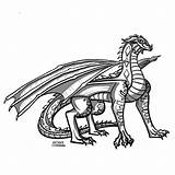 Dragons Rainwings Pyrrhia Wingsoffire sketch template