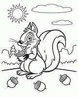 Coloring Squirrel Pages Kids Printable Print sketch template