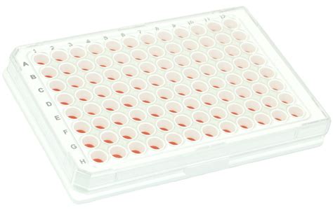 brandtech   plate puregrade  sterile  treated surface